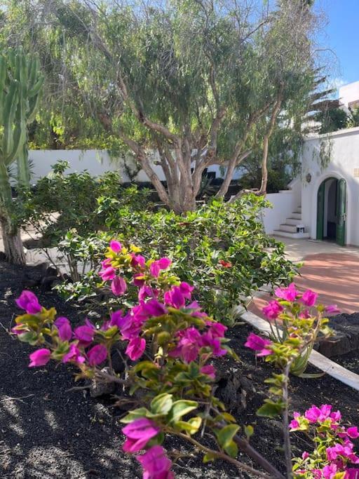 Casa Chili Apartment Costa Teguise Ngoại thất bức ảnh